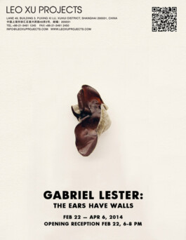 Gabriel Lester
